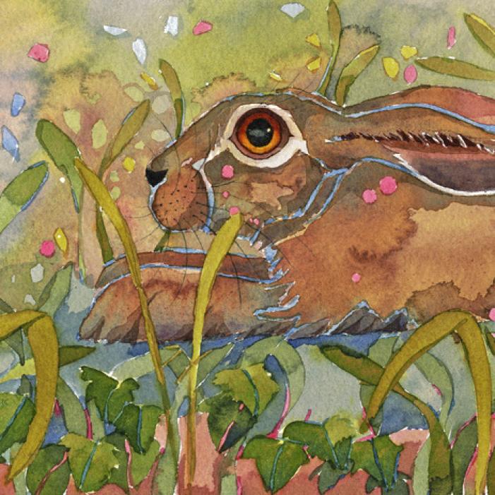 mary ann rogers Hare 18cm x 46cm bright 11.3.25.jpeg